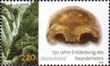 150 years discovery Neanderthals