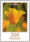 California Poppy (Eschscholzia californica)