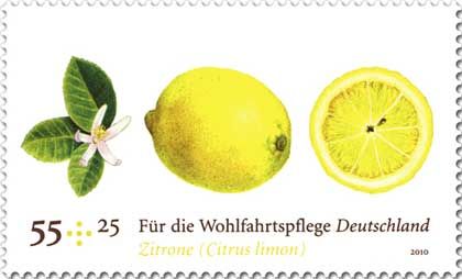 Lemon-Citrus limon
