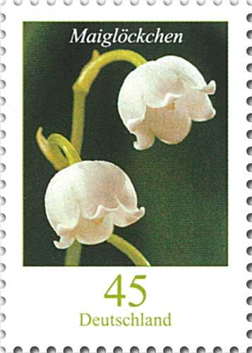 Lily of the Valley (Convallaria majalis)
