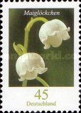 Lily of the Valley (Convallaria majalis)