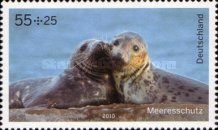 Harbour Seal (Phoca vitulina)