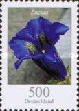 Stemless Gentian (Gentiana acaulis)