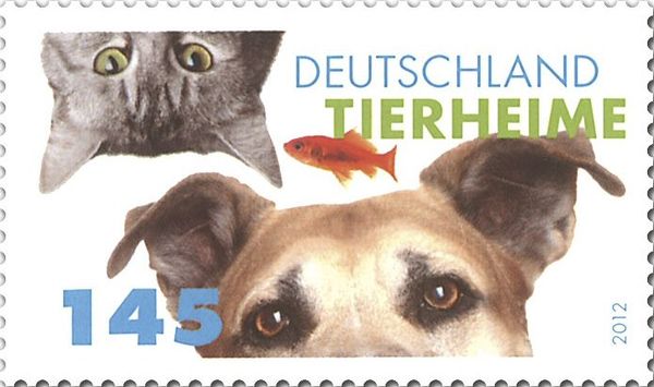 Animal shelter (Dog, Cat and Fish)