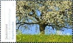 Wild Cherry