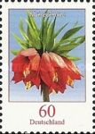 Kaiser's Crown (Fritillaria imperialis)