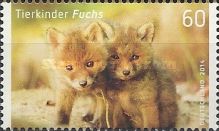 Red Fox (Vulpes vulpes)