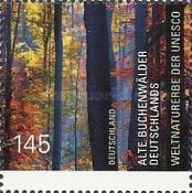 Germany's old beech forests