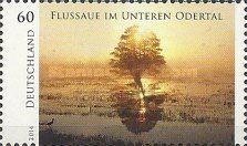 Floodplain in the Lower Oder Valley