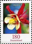 Aquiligia (Aquilegia caerulea)