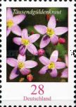 Gentian (Centaurium erythraea)