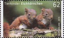 Eurasian Red Squirrel (Sciurus vulgaris)