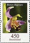 Bee orchid (Ophrys apifera)