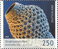 Radiolaria