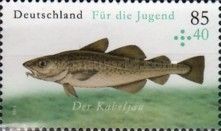 Atlantic Cod (Gadus morhua)