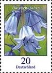 Common bluebell (Hyacinthoides non-scripta)