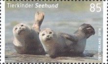 Harbour seal (Phoca vitulina)