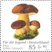 Porcini (Boletus edulis)