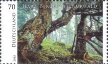 Spruce Forest, Harz National Park