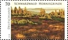Black Forest - Hornisgrinde
