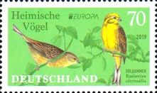 Europa (C.E.P.T.) 2019 : Yellowhammer (Emberiza citrinella)