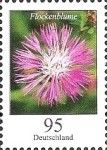Starthistle (Centaurea sp.)