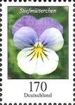 Pansy (Viola tricolor var. hortensis)