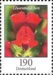 Snapdragon (Antirrhinum majus)