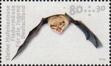 Lesser Horseshoe Bat (Rhinolophus hipposideros)