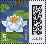 Letters as Lotus Flower