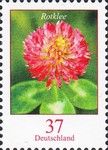 Red Clover