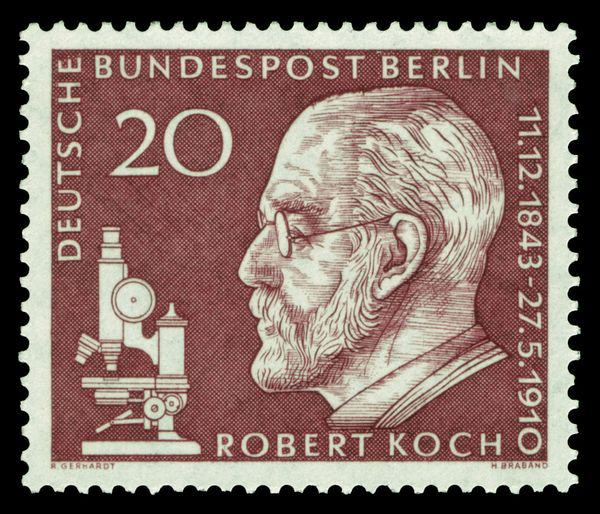 Robert Koch(1843-1910)