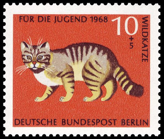 Central European Wildcat (Felis silvestris silvestris)