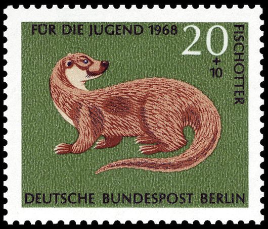 Eurasian Otter (Lutra lutra)