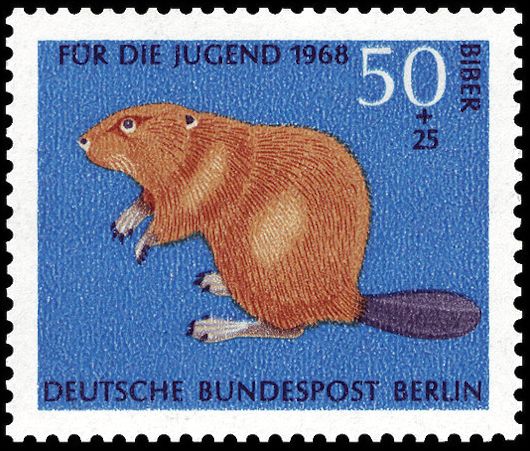 Eurasian Beaver (Castor fiber)