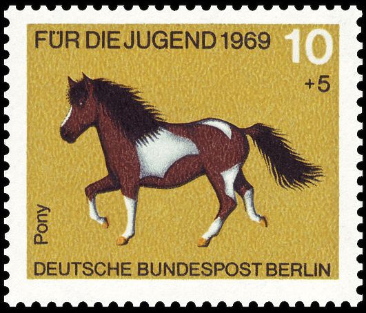 Pony (Equus ferus caballus)