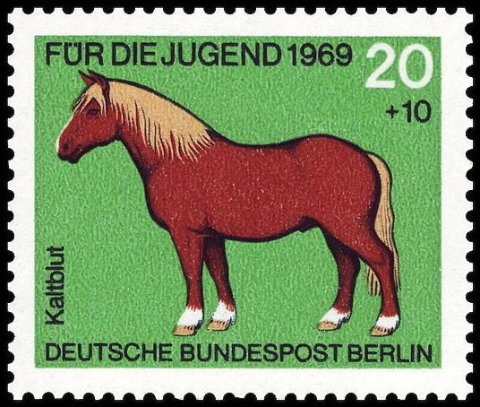 Cold-blooded Horse (Equus ferus caballus)