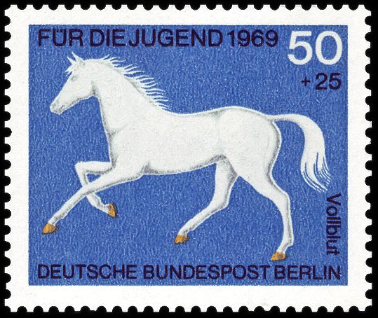 Thoroughbred (Equus ferus caballus)