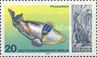 Picasso Triggerfish (Rhinecanthus assasi), Iguanadon