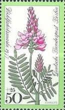 Sainfoin