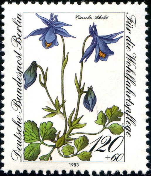 Einseles Columbine