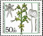 Neottia cordata (Lesser Twayblade)