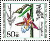 Epipactis palustris