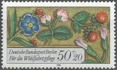 Flowers, strawberries and ladybirds