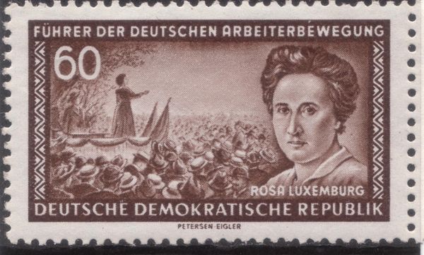 Luxemburg, Rosa (1871-1919) Politician