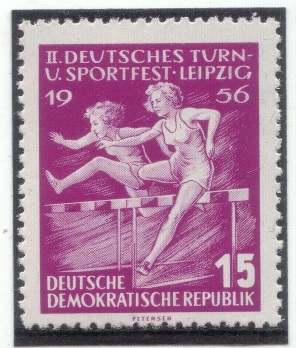 Hurdle Race