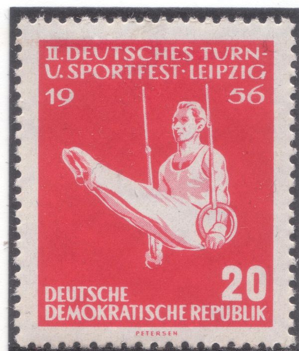 Ring Gymnastics