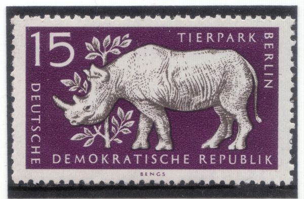 Black Rhinoceros (Diceros bicornis)