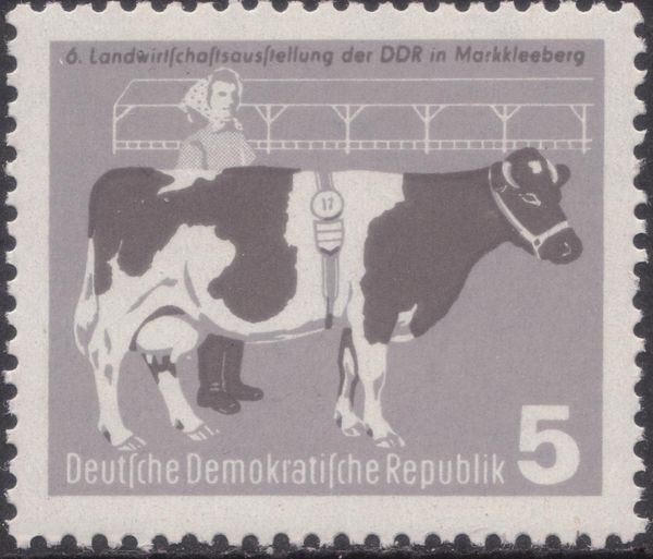Milk Cow, Milkmaid