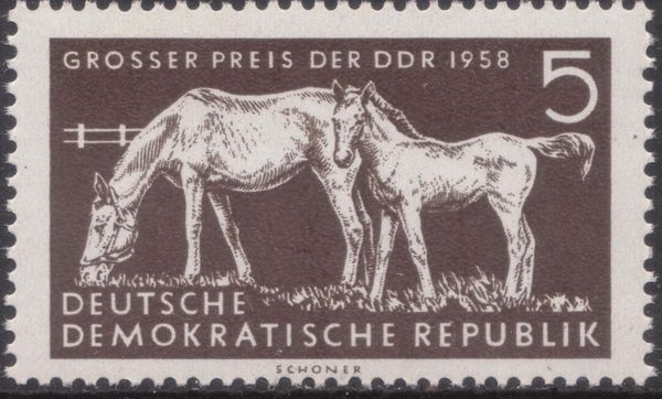 horserace "Grosser Preis der DDR 1958", Berlin & Hoppegarten